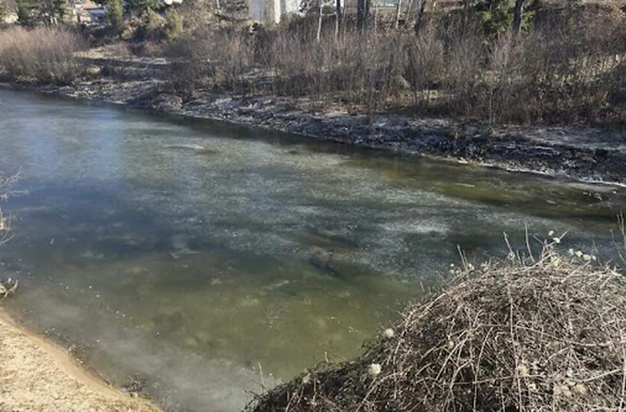 Замръзнаха водите на реката край Рудозем