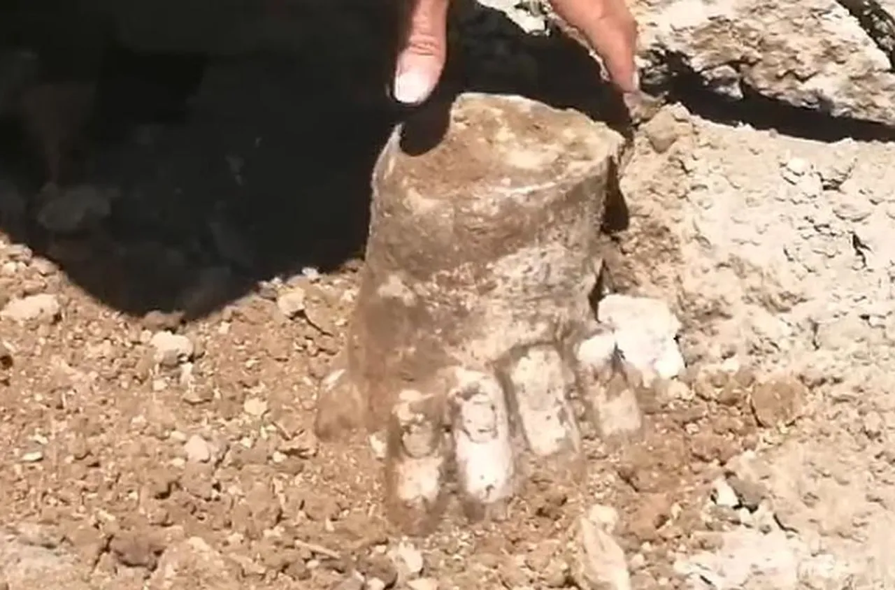 Херакъл от Хераклея Синтика е държал трите ябълки от градината на Хесперидите