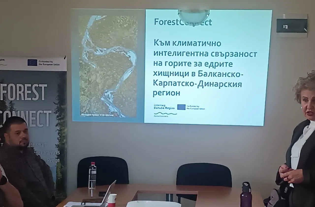 СЗДП - Враца е домакин на трансгранична експертна среща