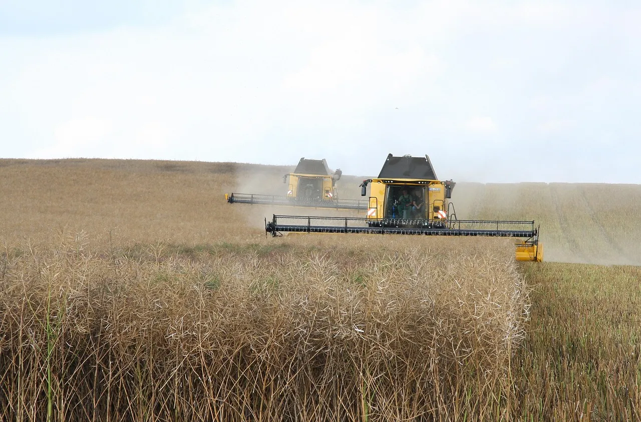 Гръцки фермери се страхуват за реколтата си