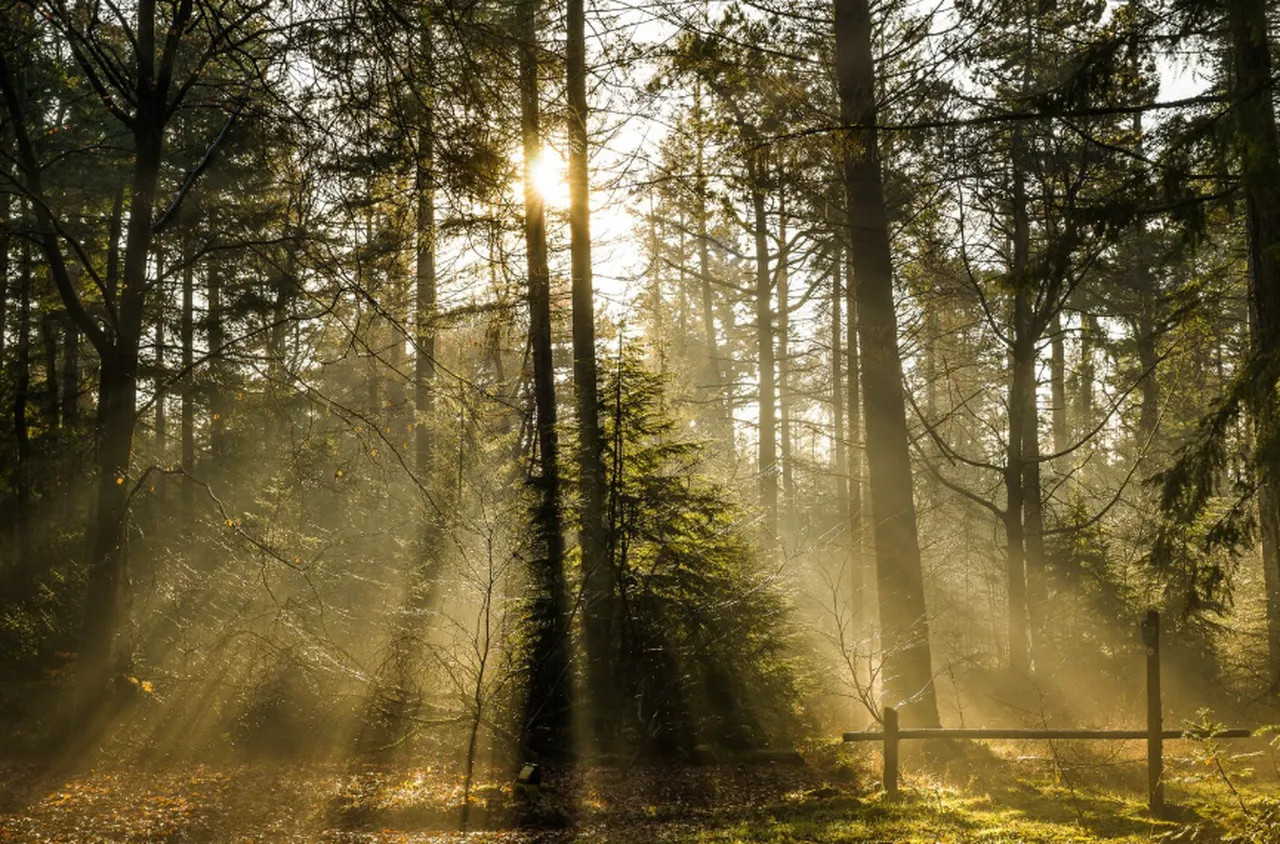 Времето на 8 февруари 2026 г.