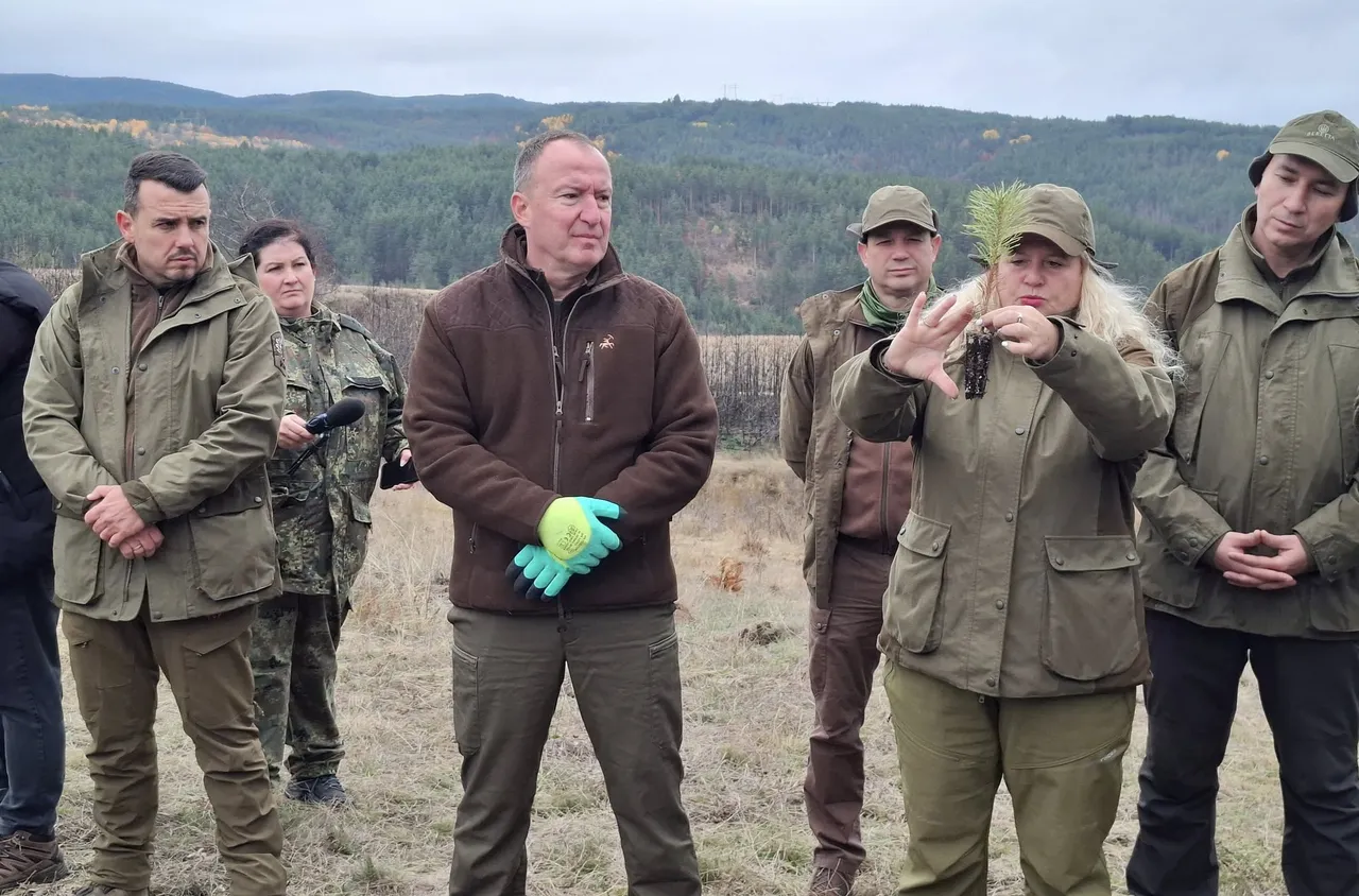 1113 фиданки засадиха служители на ЮЗДП и ВВС в съвместна кампания