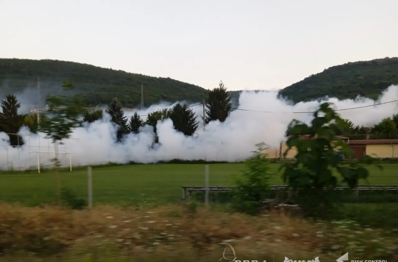 Община Кюстендил извършва масова обработка срещу комари