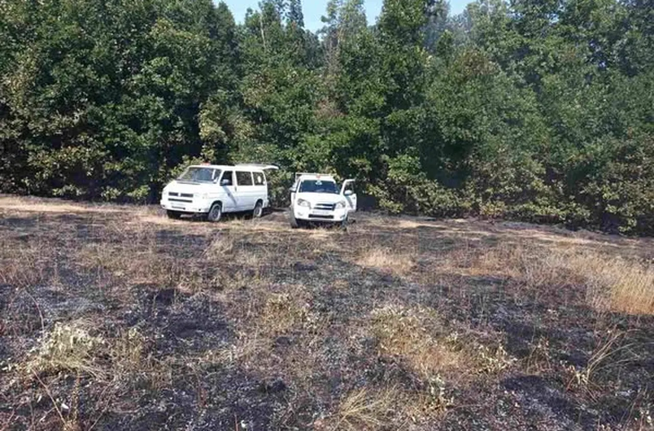 Овладян е пожарът при Мурсалево и Кочериново