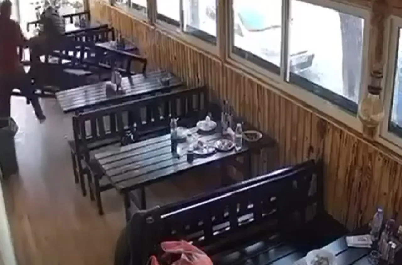 Въоръжен мъж нападна с нож клиенти на ресторант в София/видео/