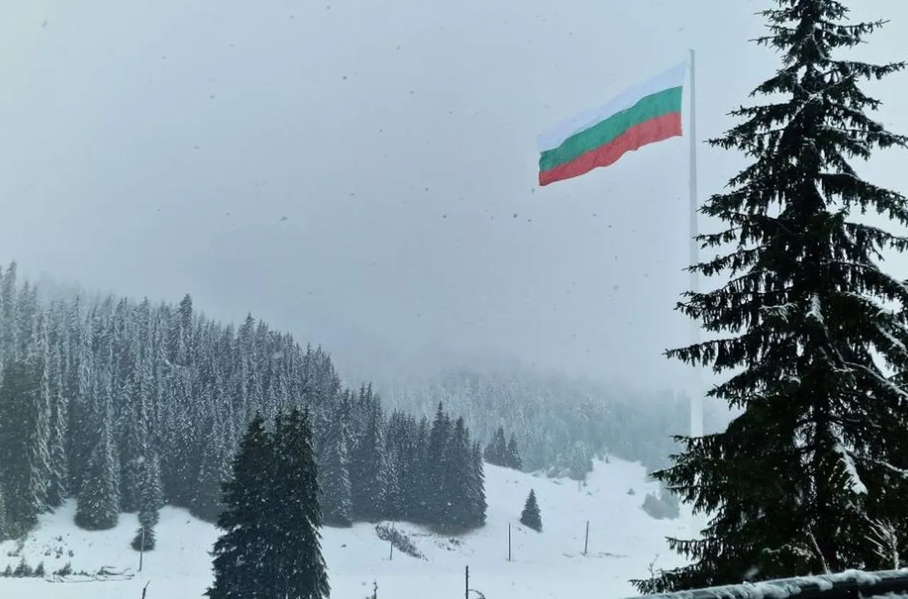 Обилен снеговалеж усложнява пътната обстановка в Смолянско