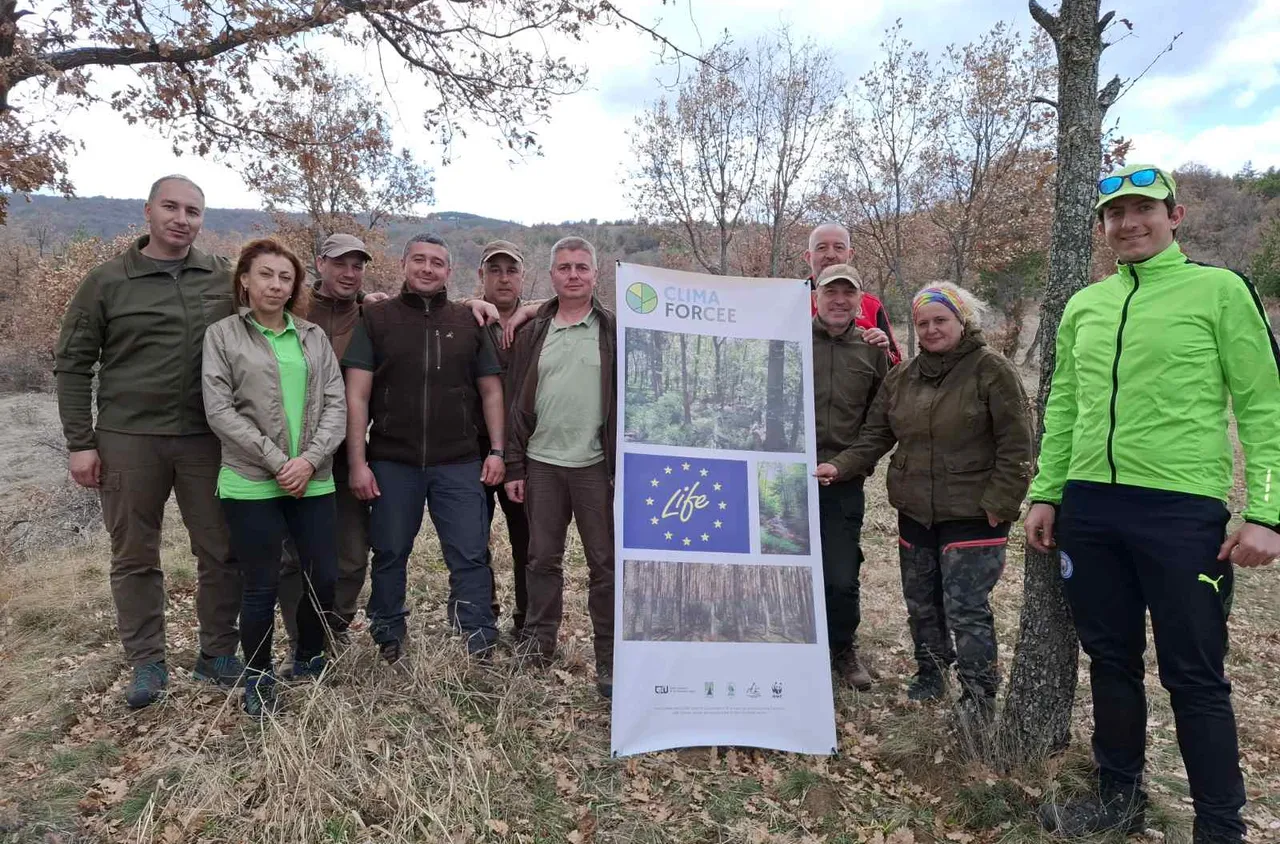 12 000 фиданки от космат дъб залесиха при ДГС Рилски манастир
