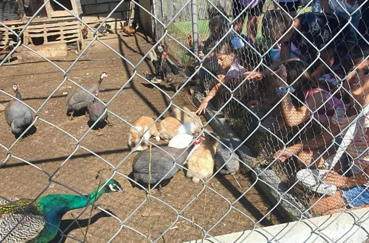 Клуб "Приятели на животните“ посети Щраусовия парк в Копривлен