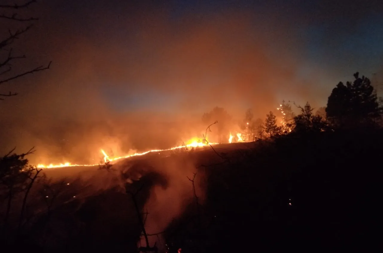 Голям горски пожар край Илинденци, над 100 огнеборци и доброволци са на терен