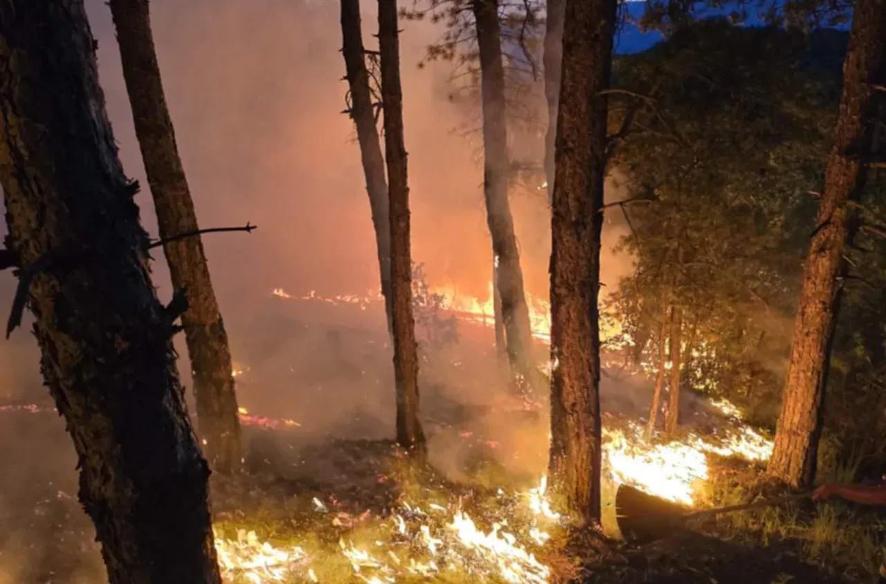 Два хеликоптера влизат в борба с пожара над Рилския манастир