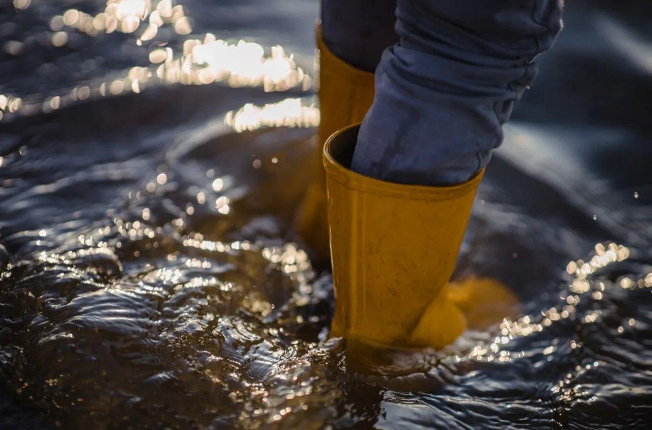 Руските власти обявиха извънредно положение в Дагестан