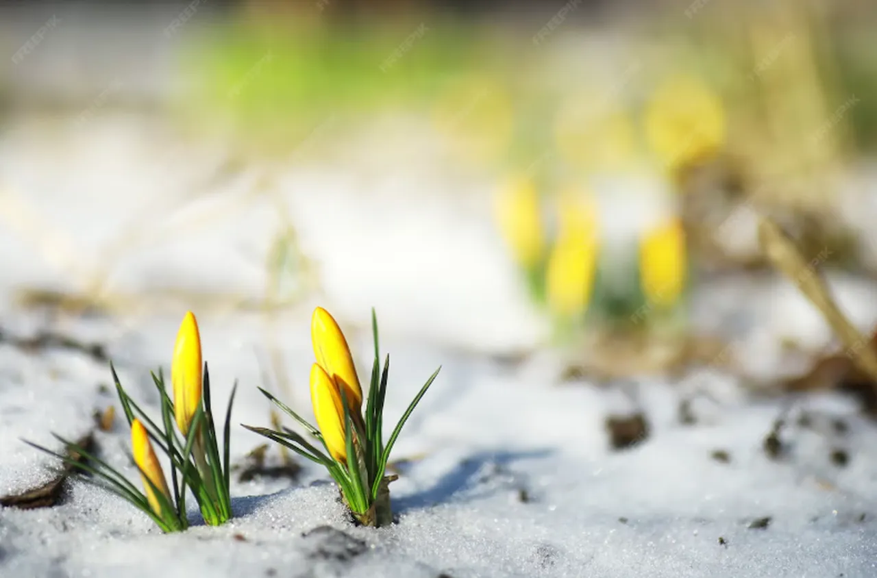 Времето на 1 март 2026 г.