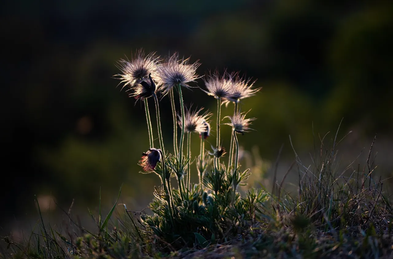 Времето на 16 март 2026 г.