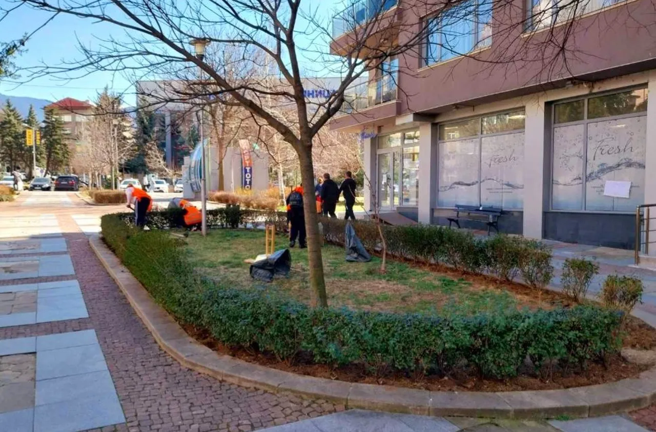 В Дупница предстои цялостно почистване на града