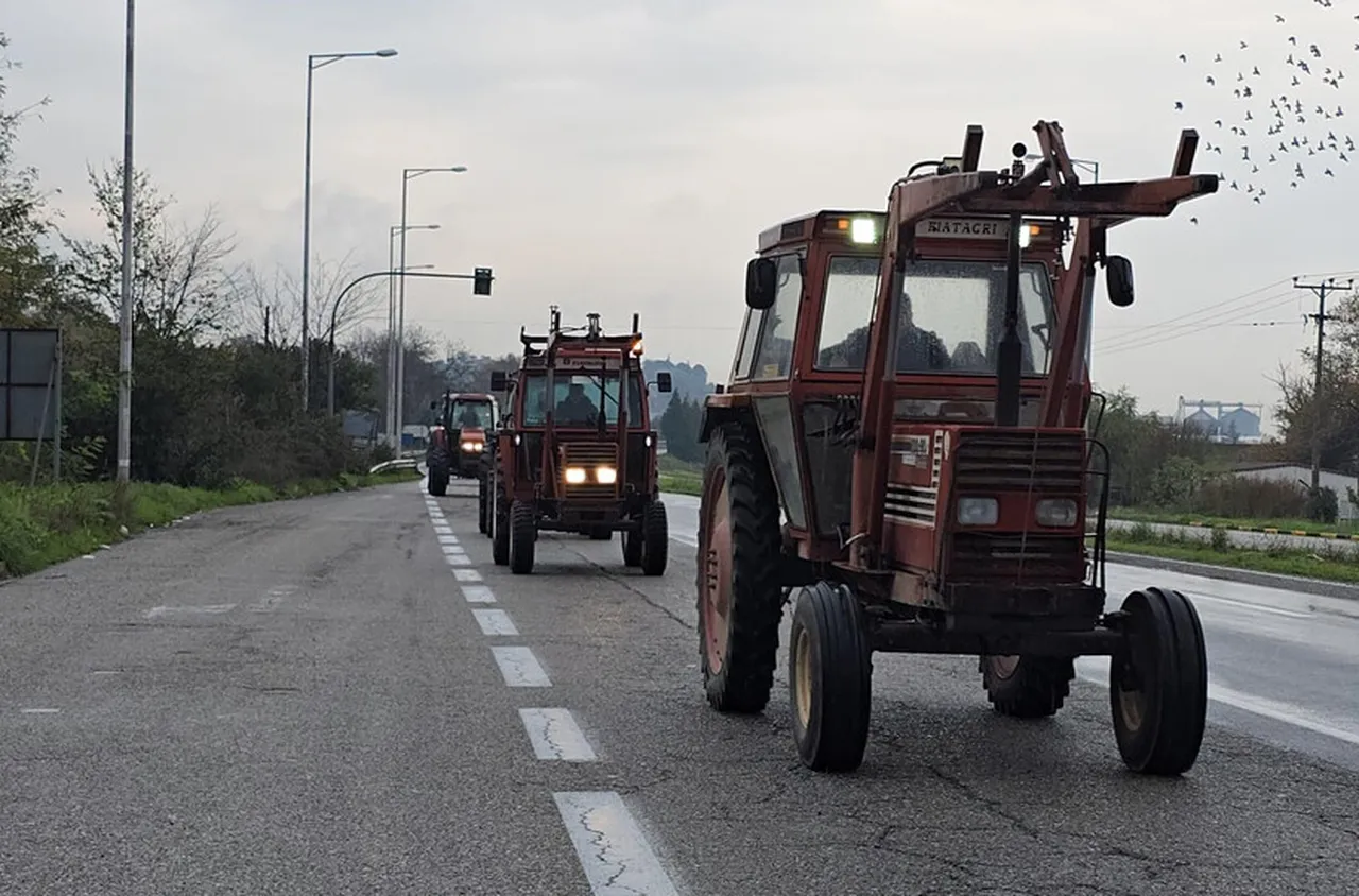 Гръцките фермери вдигнаха блокадите по българската граница