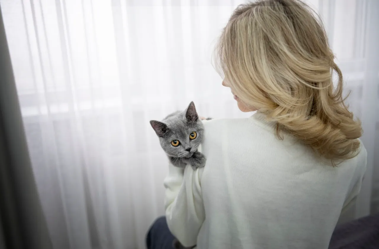 Котките в помощ за лечението на рака