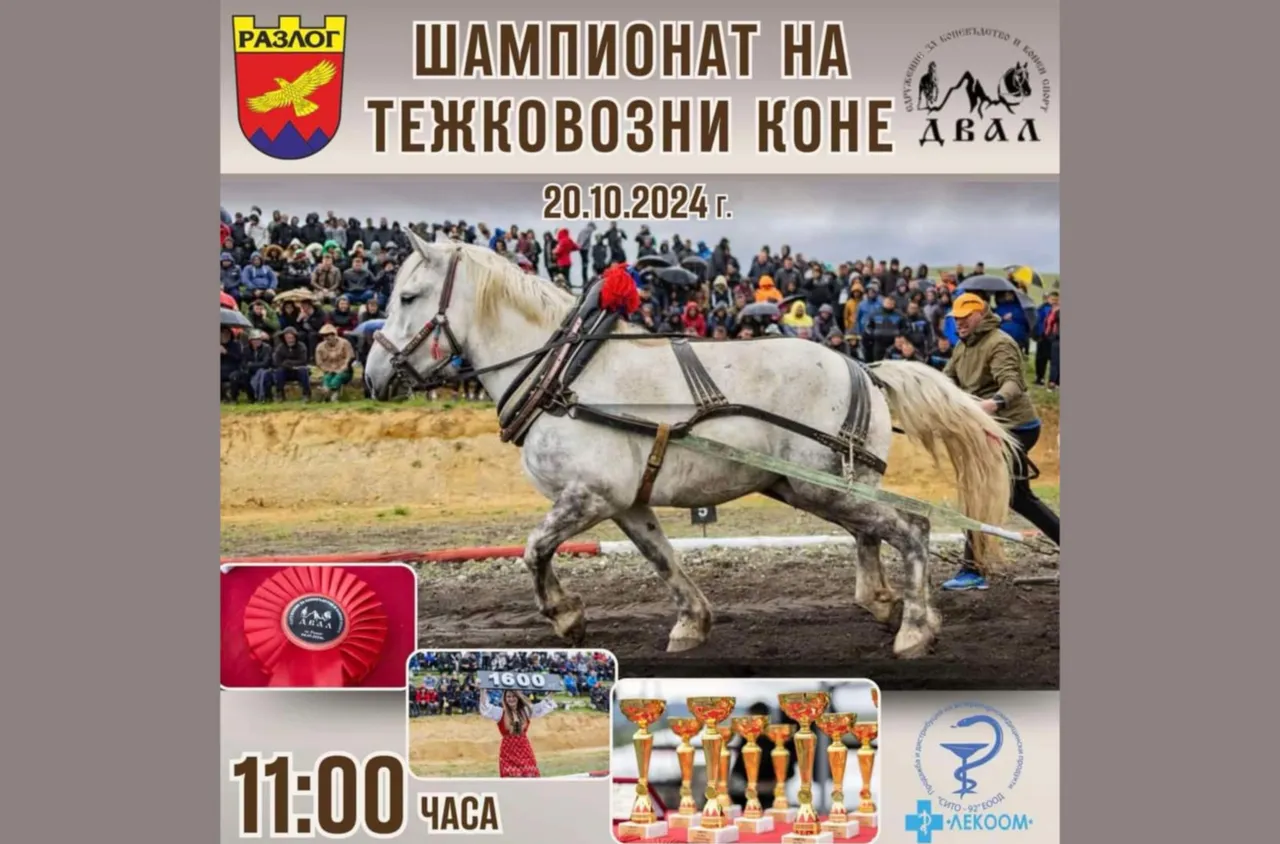 Най-силните тежковозни коне се срещат в Разлог