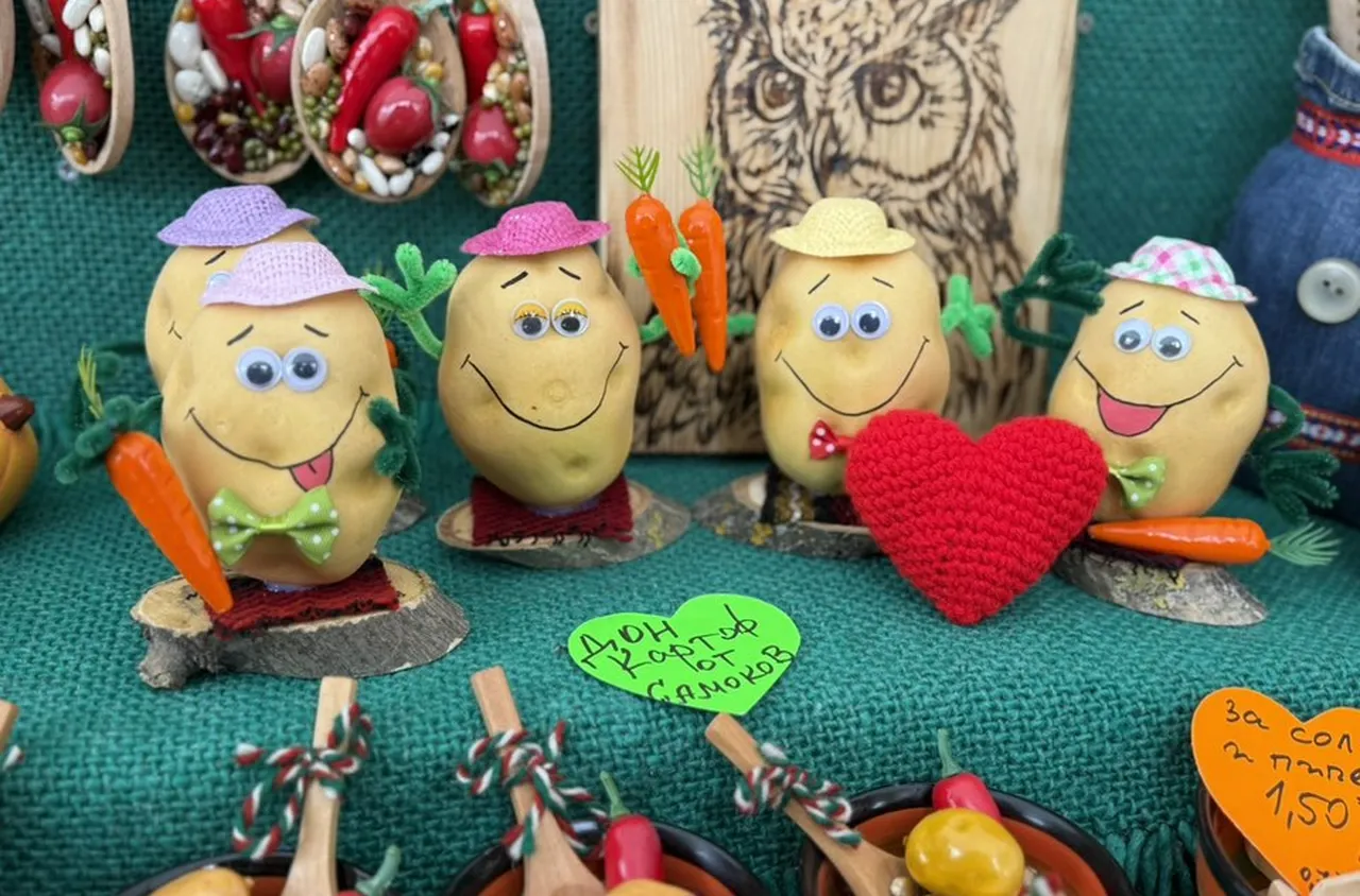 Второ издание на Фестивала на самоковския картоф