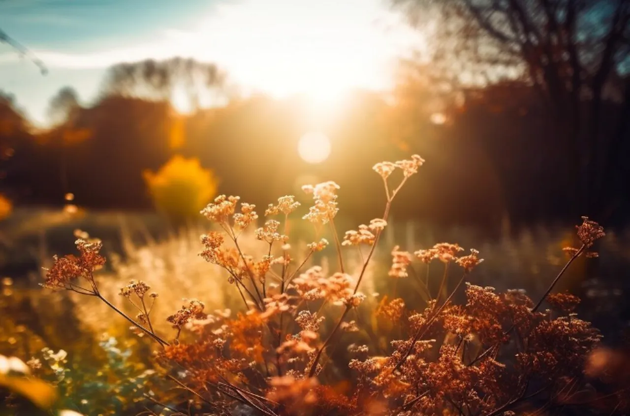 Времето на 19 април 2026 г.