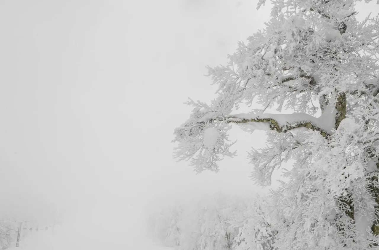 Буря затвори въздушния транспорт в САЩ