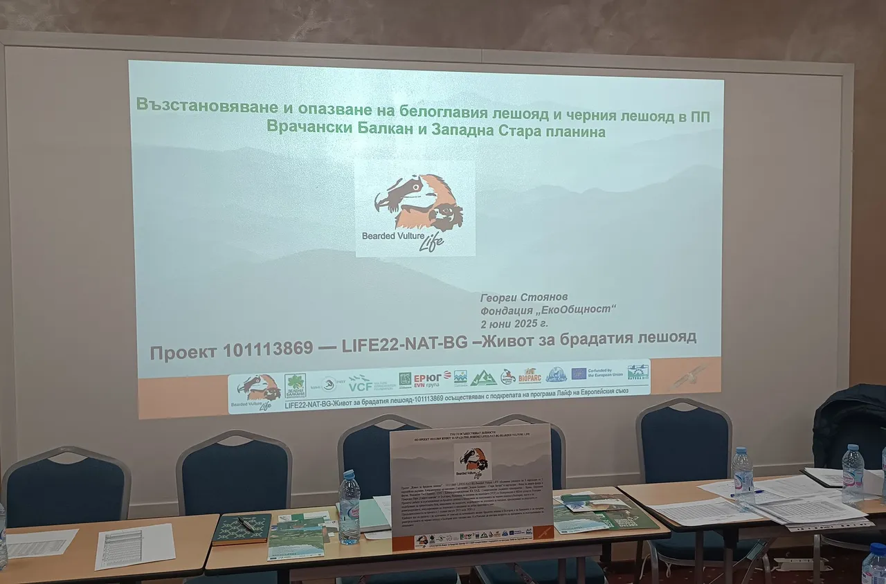 СЗДП участва в среща за възстановяване на брадатия и черния лешояд