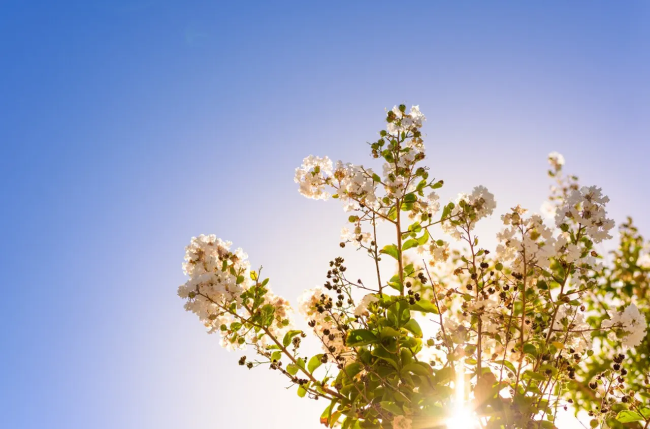 Времето на 6 април 2026 г.