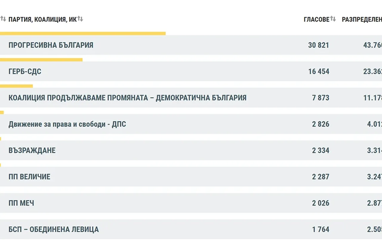 "Прогресивна България" води в Пиринско с 43.76%