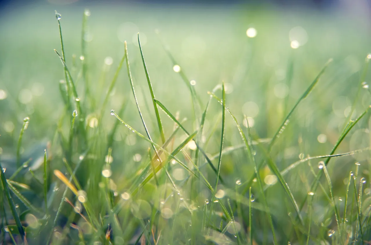 Времето на 4 април 2026 г