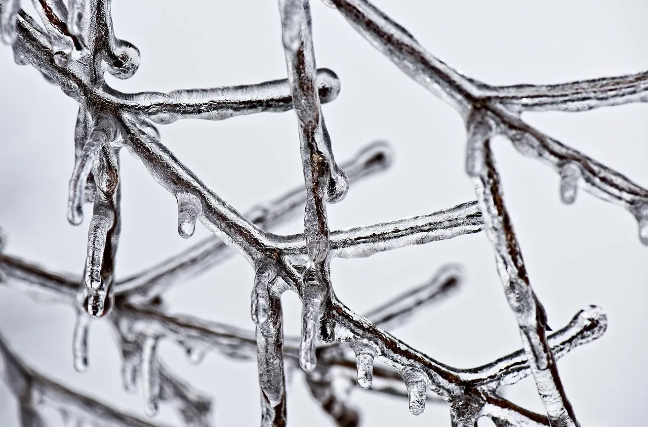 Червен код за сняг и леден дъжд в Сърбия