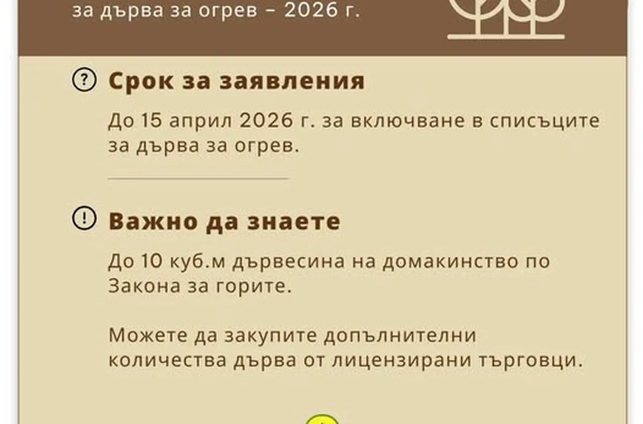 Наближава крайният срок за заявления за дърва за огрев в община Сатовча