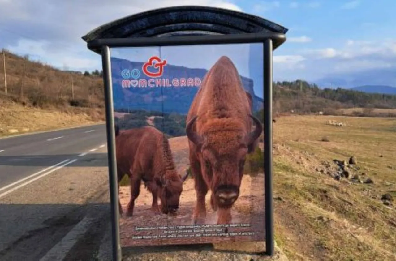 Нов облик на спирките в Момчилград