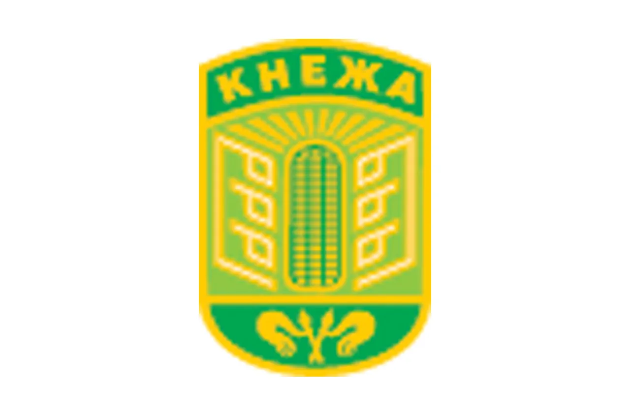 Кнежа
