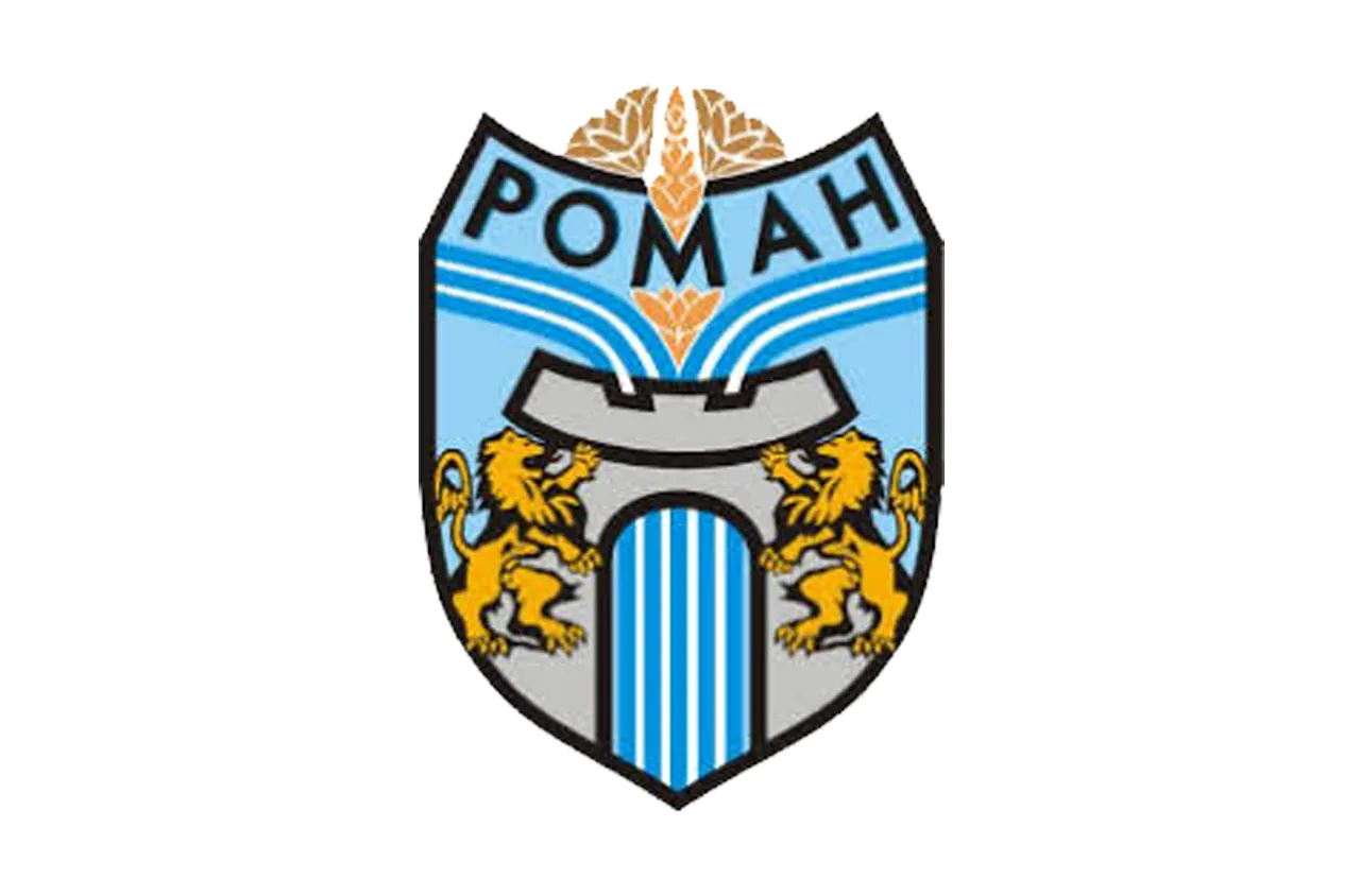 Роман