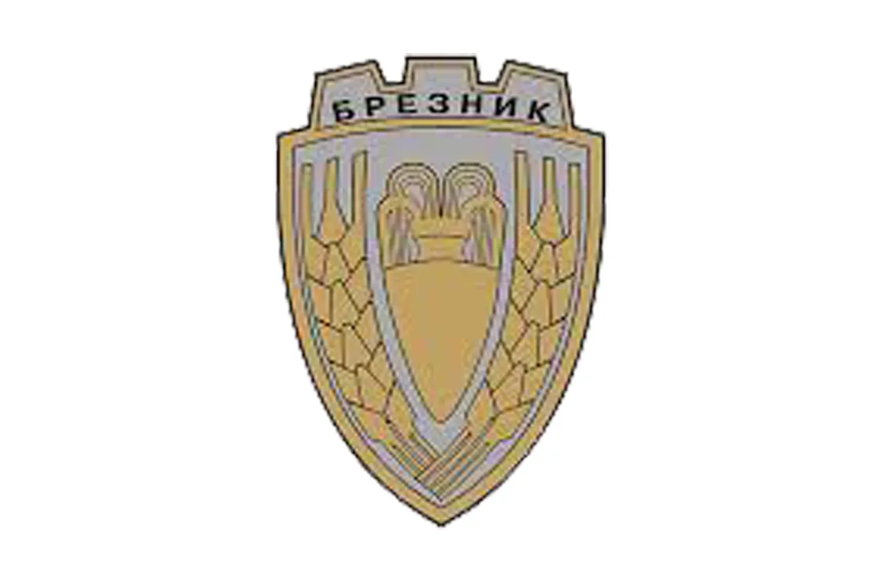 Брезник