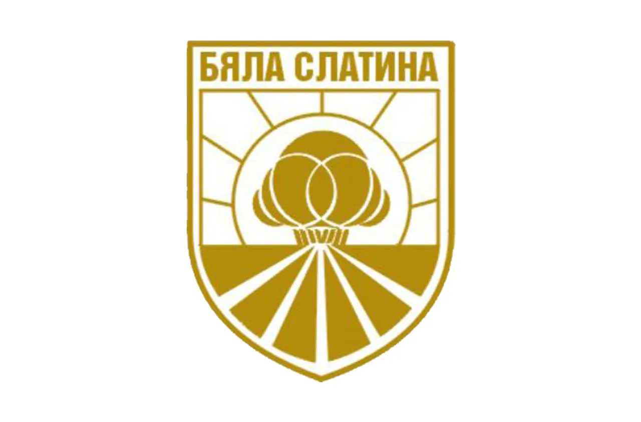 Бяла Слатина